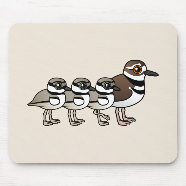 Killdeer & tre chickar musmatta (Framsidan)