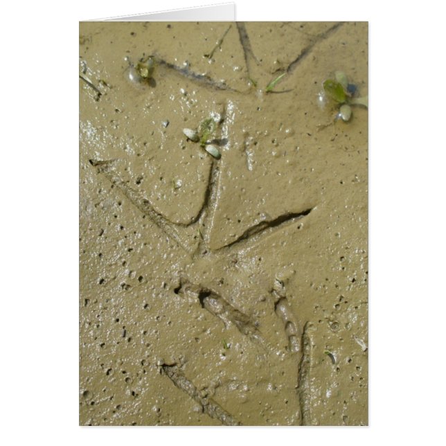 Killderspår Hälsningskort (Framsidan)