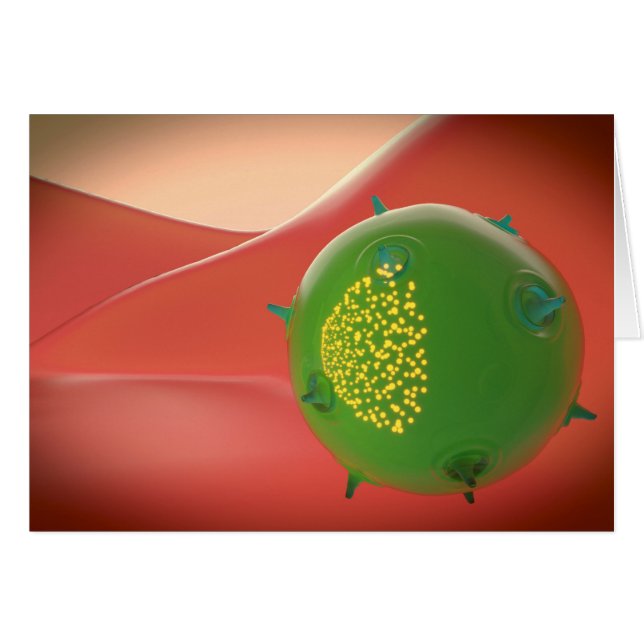Killer Cell of the Inate Immune System Hälsningskort (Framsidan Horizontal)