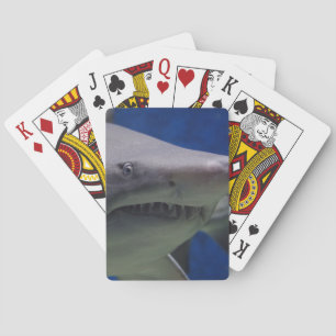 KILLER SHARK-spelkort Casinokort