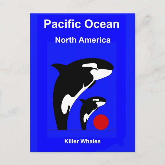 Killer Wales Vykort (Framsida)