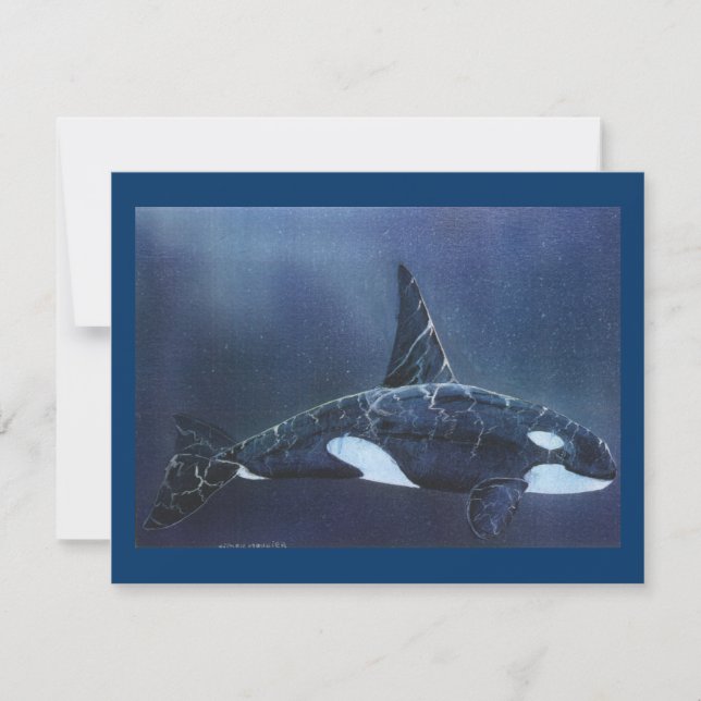 Killer Whale (Framsida)