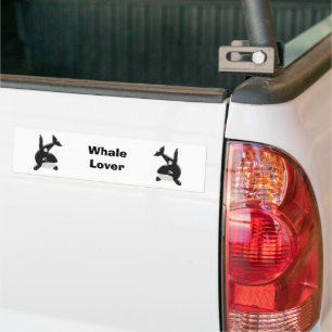 Killer Whale Bildekal
