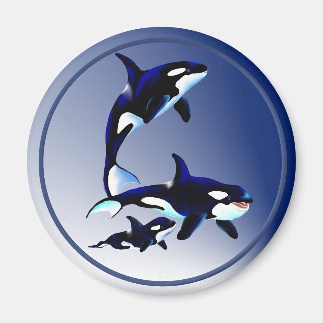 Killer Whale Family Magnets Magnet (Framsidan)