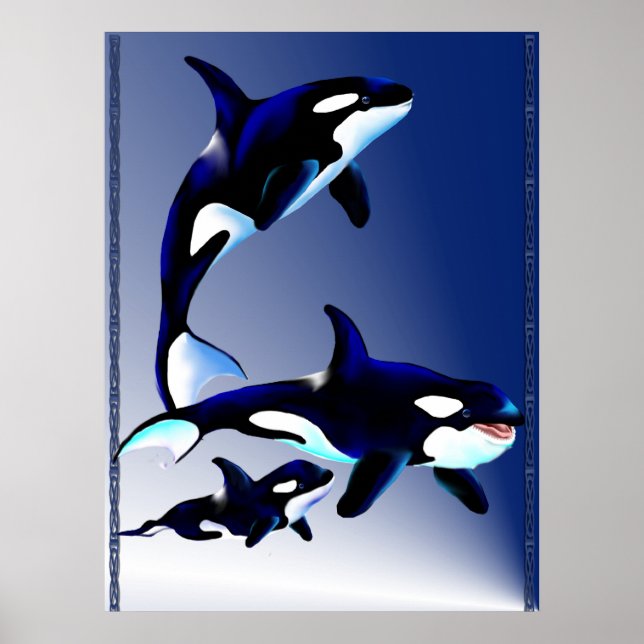 Killer Whale Family Poster (Framsidan)