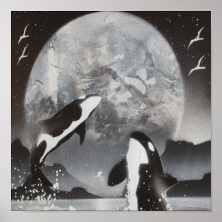 Killer Whale Framed Print Poster