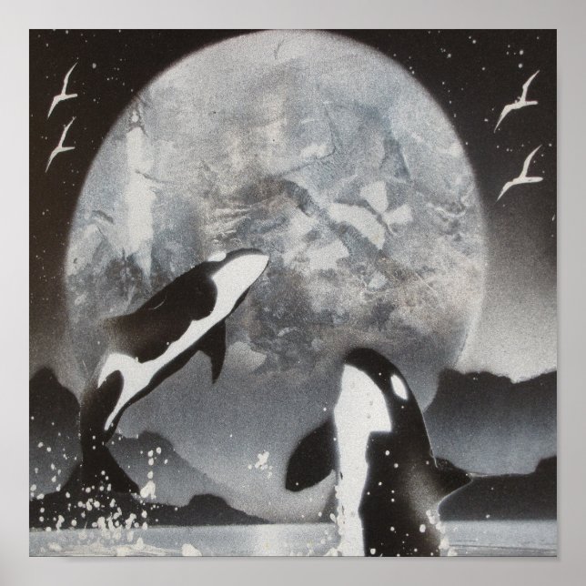Killer Whale Framed Print Poster (Framsidan)