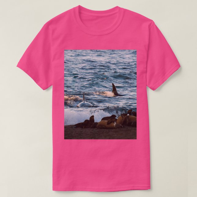 Killer whale hunting seals on the beach t shirt (Design framsida)