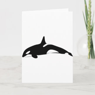 Killer Whale Kort