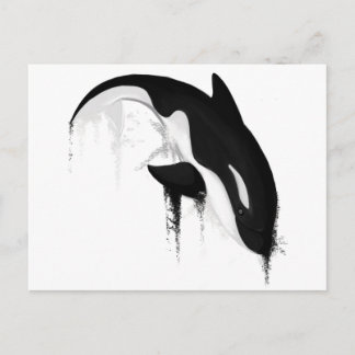 Killer Whale Orca av Crem Vykort