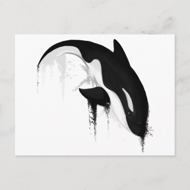 Killer Whale Orca av Crem Vykort (Framsida)