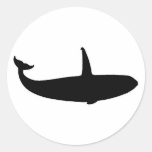 Killer Whale - Orca (illustration) Runt Klistermärke