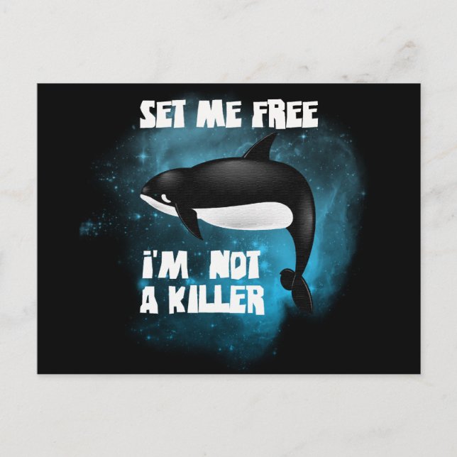 Killer Whale - Orca Vykort (Framsida)