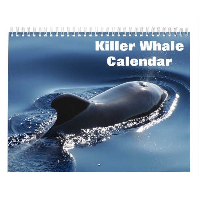 Killer Whale Orcas 2025 Kalender (Omslag)