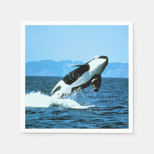 Killer Whale Pappersservett (Framsidan)