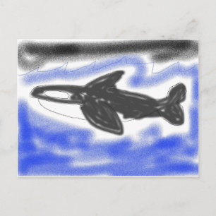 Killer Whale Vykort