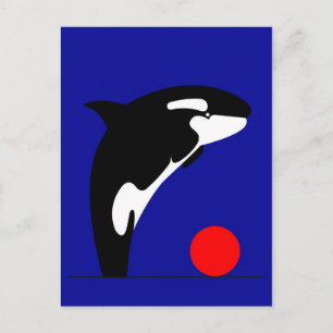 Killer Whale Vykort