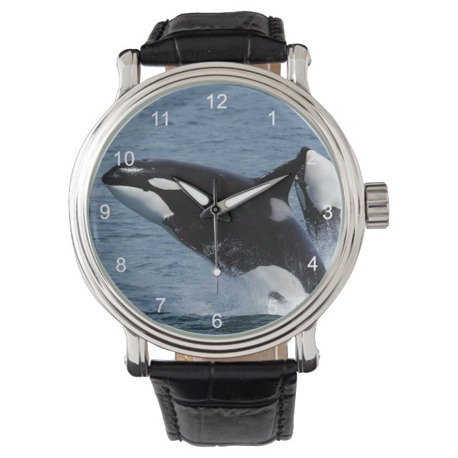 Killer whales armbandsur (Framsida)