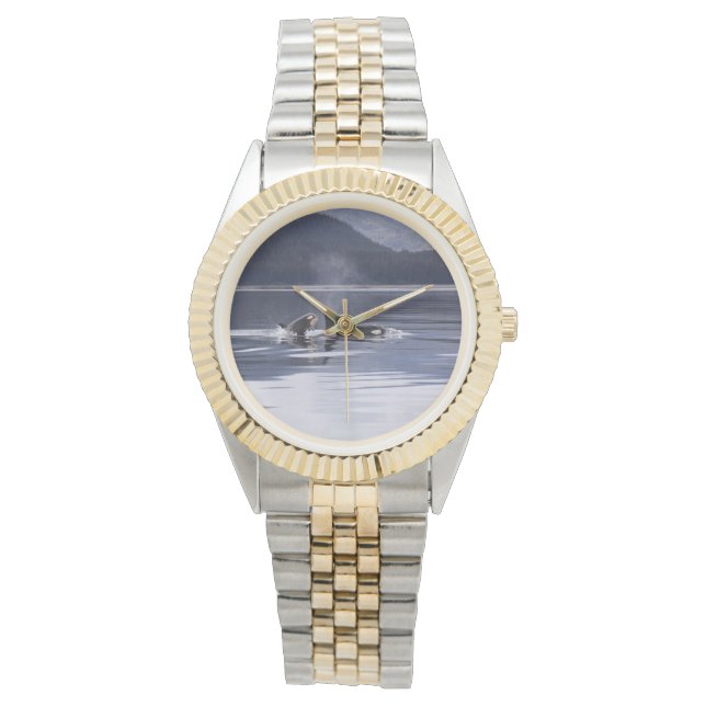 Killer Whales Armbandsur (Framsida)