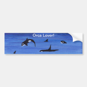 Killer Whales Bildekal