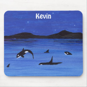 Killer Whales Musmatta