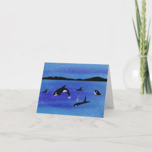 Killer Whales Tack Kort