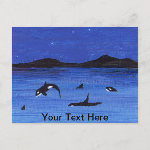 Killer Whales Vykort