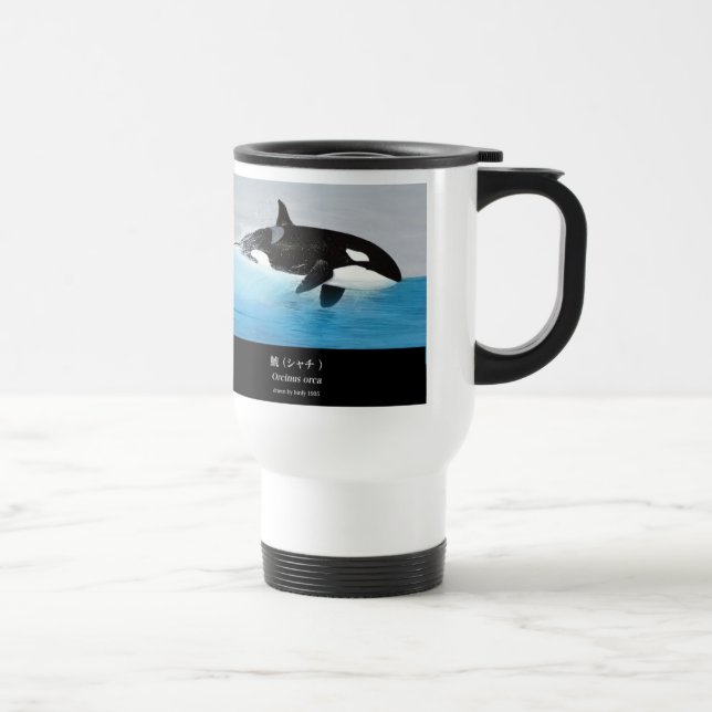 Killerwhale , Orcinus orca Resemugg (Höger)