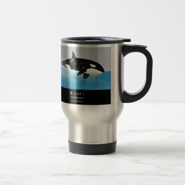 Killerwhale , Orcinus orca Resemugg (Höger)