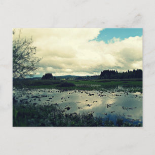 Killin Wetlands Reflection Vykort