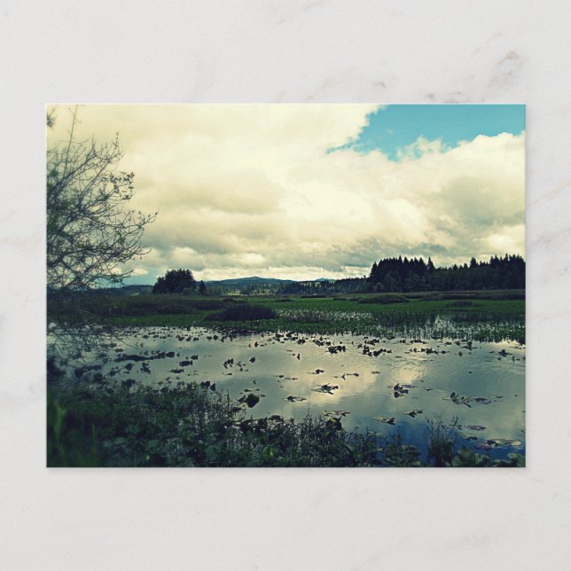 Killin Wetlands Reflection Vykort (Framsida)