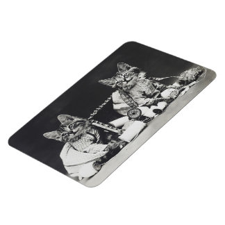 Killing Mischief Makers 1914 Magnet
