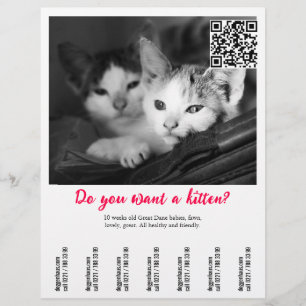 Killsäljande informationsblad reklamblad