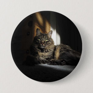 Kimber Cat Slivers of Sunlight Button Knapp