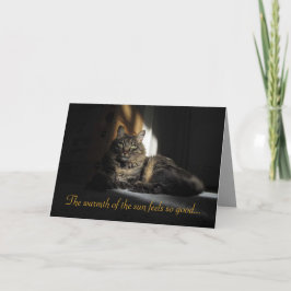Kimber Cat Slivers of Sunlight I Kärlek You Card Kort