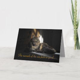 Kimber Cat Slivers of Sunlight I Kärlek You Card Kort