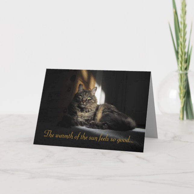 Kimber Cat Slivers of Sunlight I Kärlek You Card Kort (Framsida)