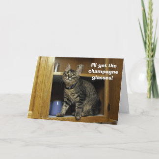 Kimber i Cupboard-årsjubileet Kort