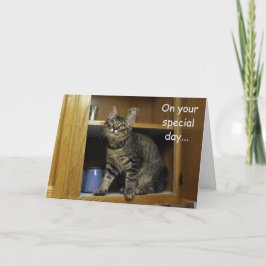 Kimber Kitten i Cupboard Mors dag-kortet Kort