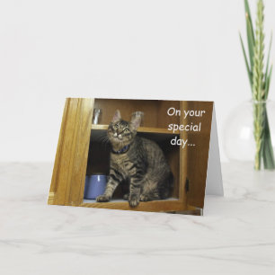 Kimber Kitten i Cupboard Mors dag-kortet Kort