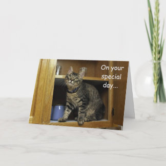 Kimber Kitten i Cupboard Mors dag-kortet Kort