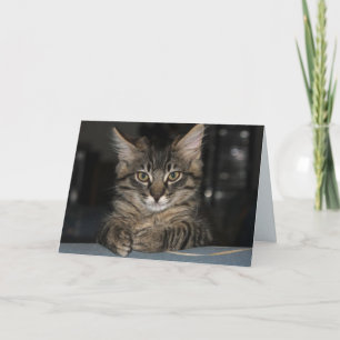 Kimber Wait Birthday-kort Kort