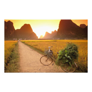 Kina, Guangxi. Yangzhou, Cykel på landsbygd Fototryck