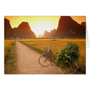 Kina, Guangxi. Yangzhou, Cykel på landsbygd Hälsningskort