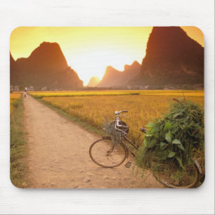 Kina, Guangxi. Yangzhou, Cykel på landsbygd Musmatta