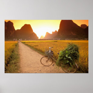 Kina, Guangxi. Yangzhou, Cykel på landsbygd Poster