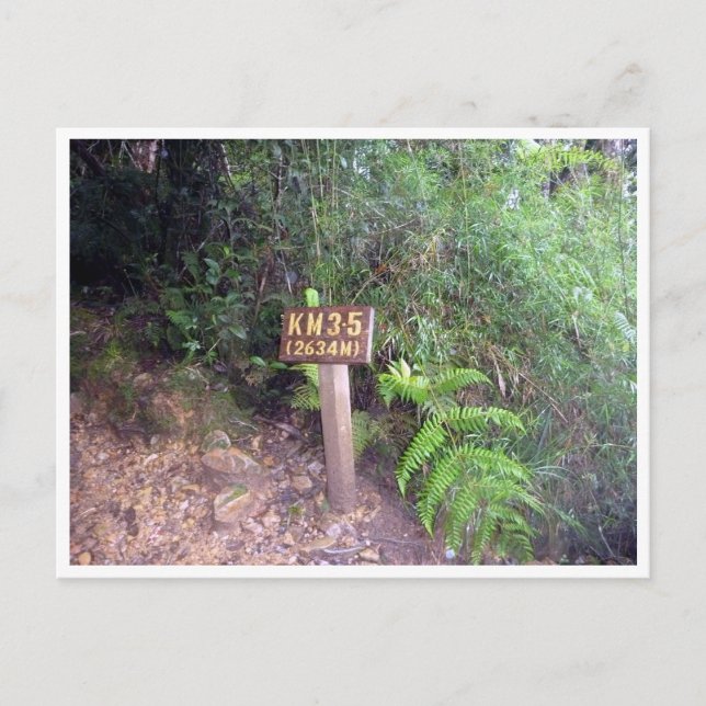 kinabalu km 3,5 vykort (Framsida)