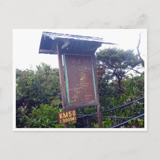 kinabalu km 5,0 vykort (Framsida)