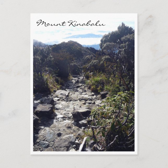 kinabalu-spår vykort (Framsida)