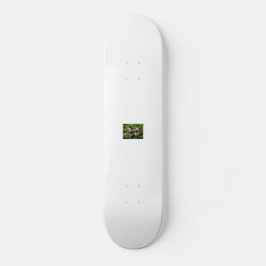 kinafex home page zazzle.com and market place skateboard bräda 20,5 cm